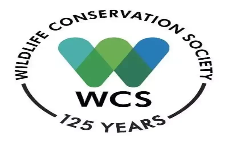 Wildlife Conservation Society recrute à Bukavu