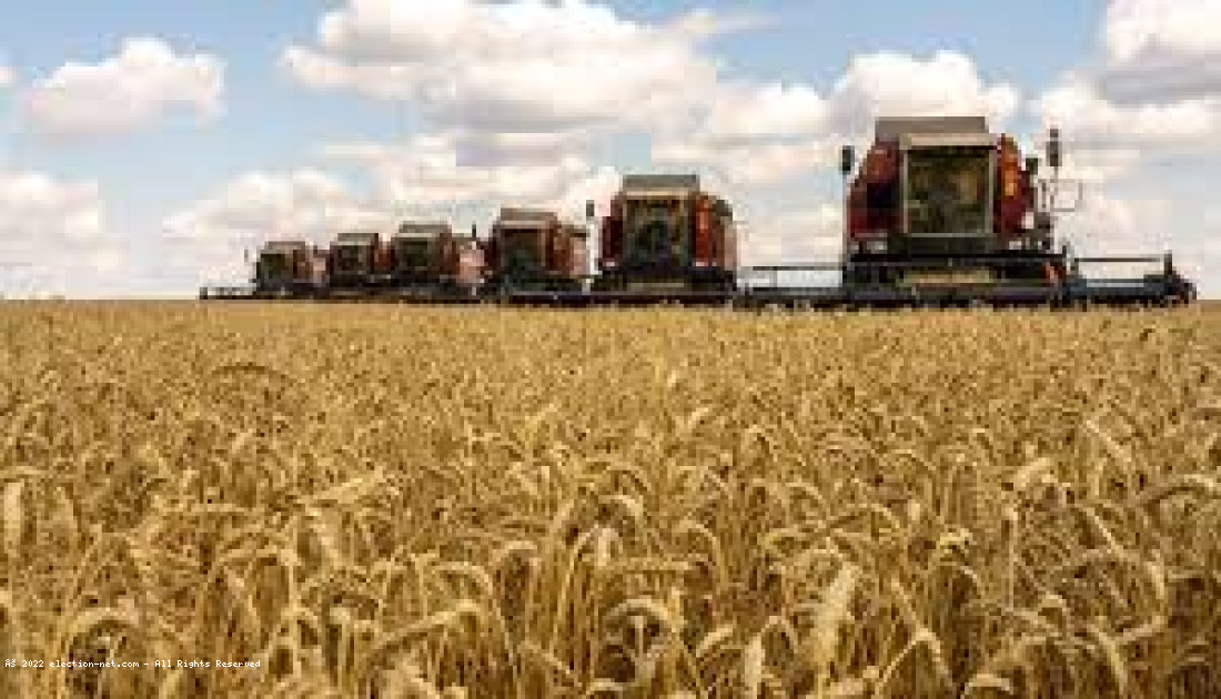 Guerre en Ukraine : arrivée du deuxième cargo de blé ukrainien en Turquie