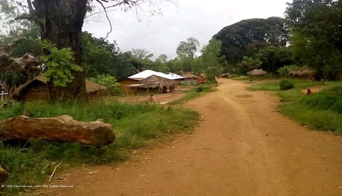 Beni : quatre localités sous menace des mouvements des ADF, alertent les forces vives