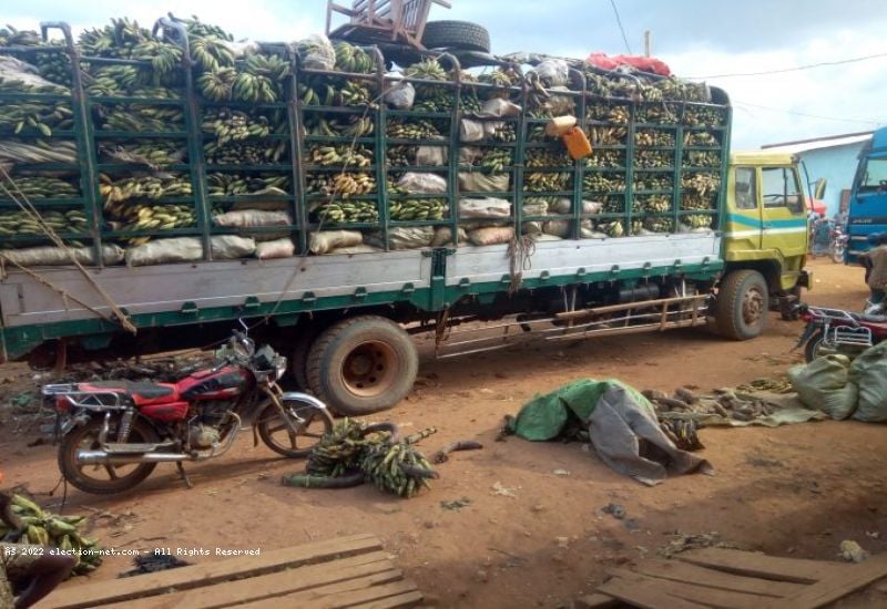 Butembo : fin de la grève des transporteurs et dépositaires des produits viviers