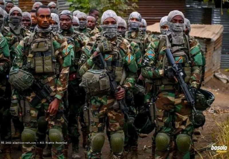 Capacitation des FARDC par la MONUSCO : Kigali inquiet