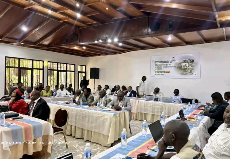 Kinshasa : l’agro-écologie, une piste crédible face à la déforestation et à la crise alimentaire