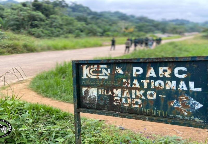 RDC : le gouvernement suspend les activités minières proches du parc national de la Maiko
