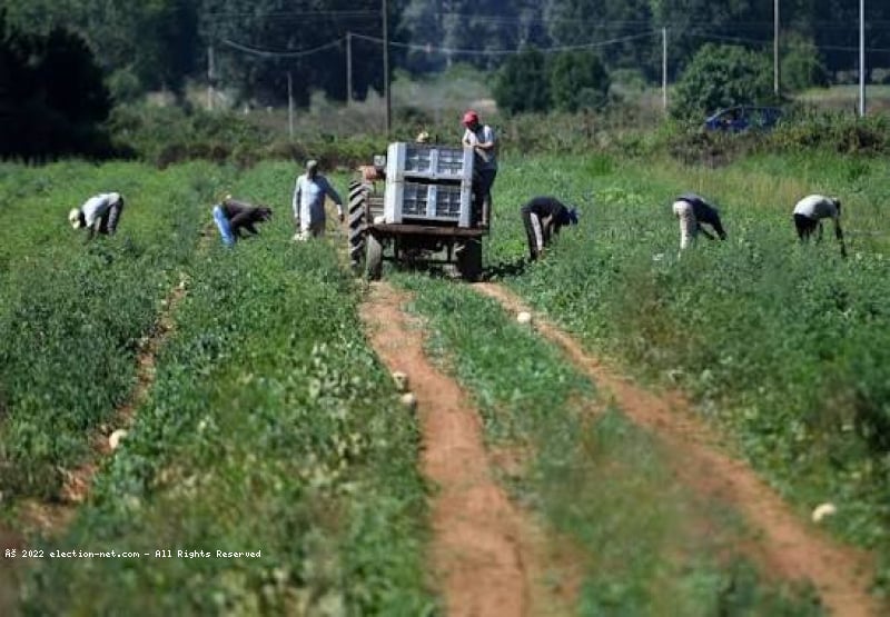 Italie: des ouvriers agricoles migrants brûlés vifs