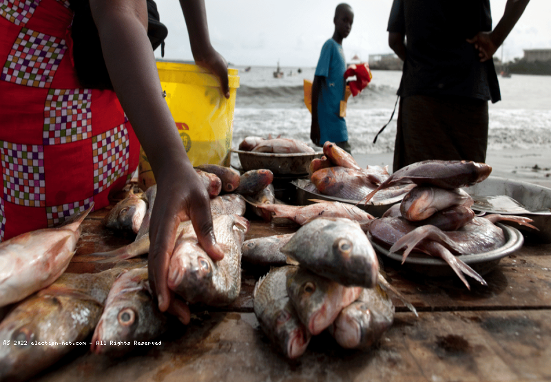 Gabon : les raisons du non renouvellement de l'accord de pêche entre Libreville et l’U.E