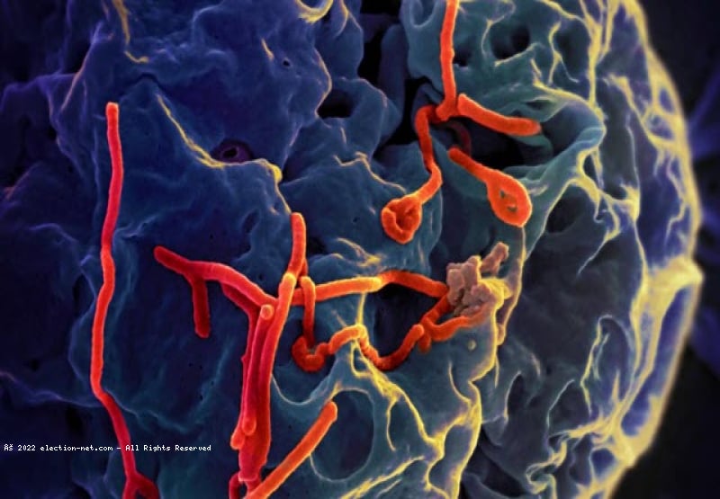 RDC : ''le virus Ebola peut persister dans le sperme d'un homme guéri pendant plusieurs mois'', révèle un médecin Sexologue