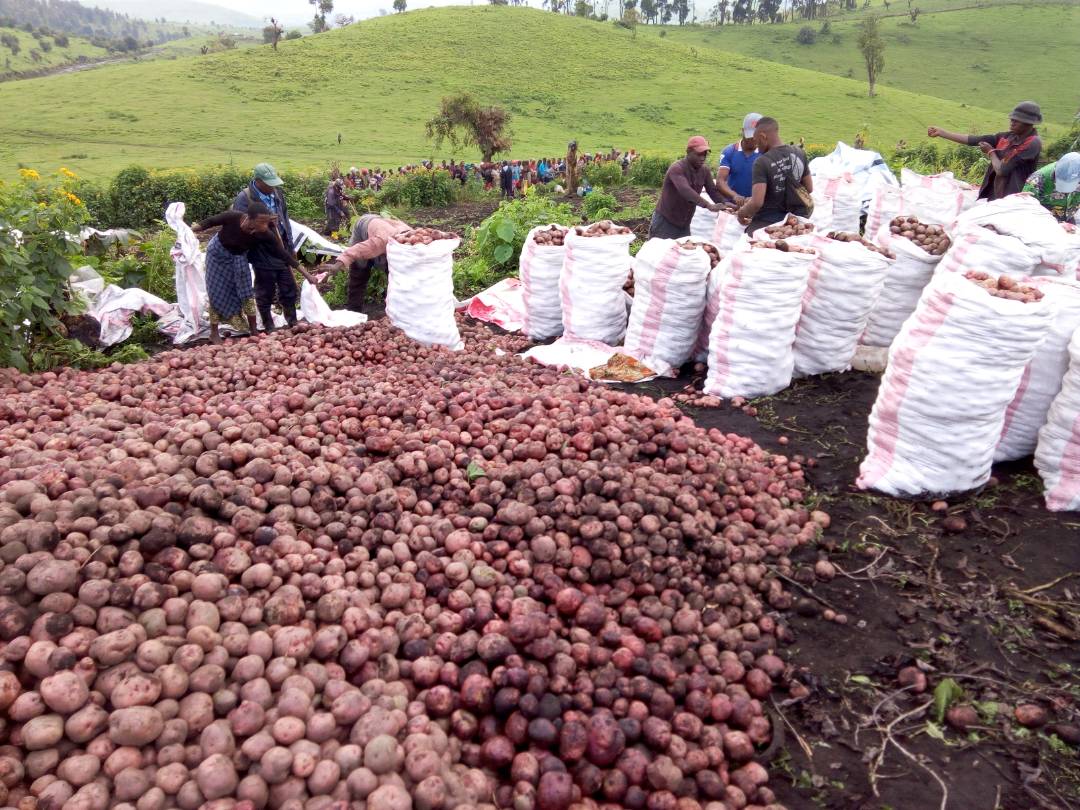 Coronavirus: La  taxation sur les produits de première nécessité allégée au Nord-Kivu