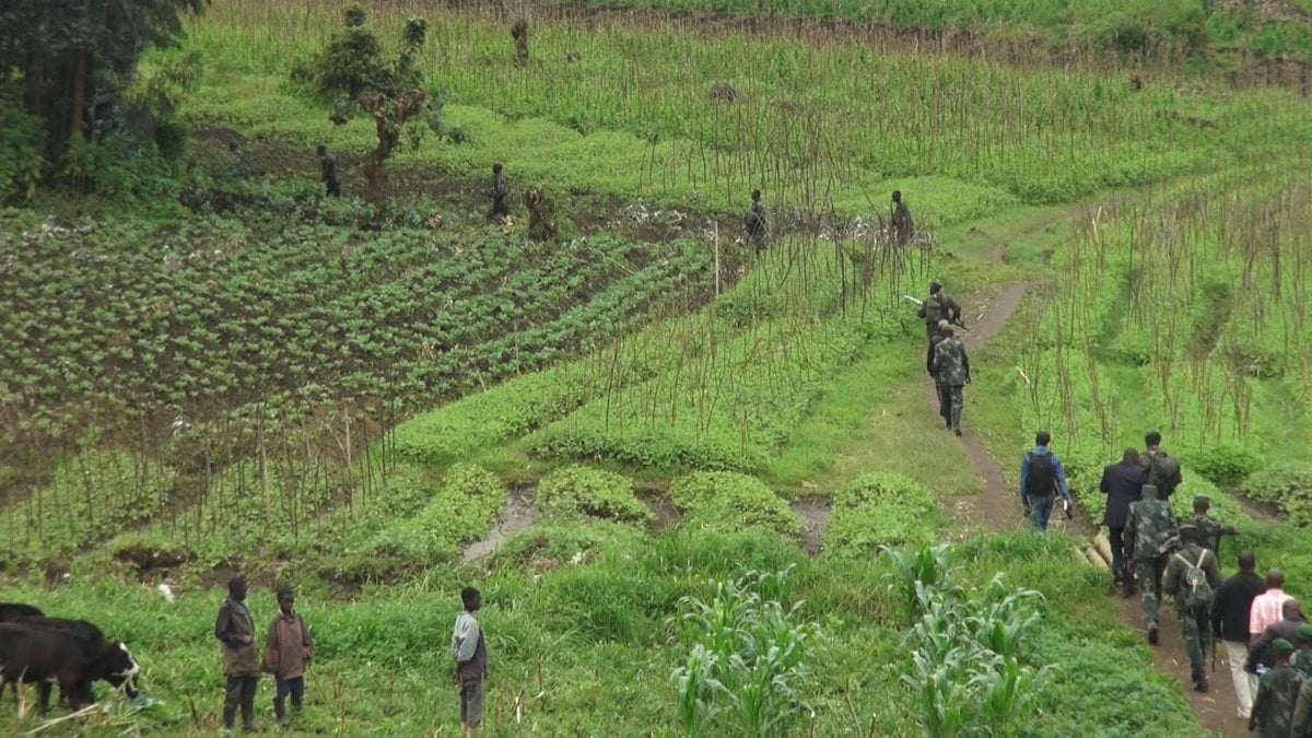 Nord-Kivu: L'armée rwandaise de nouveau signalée à Nyiragongo