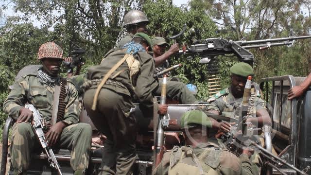Sud-Kivu : Deux éléments CNRD capturés par les FARDC à Kalehe