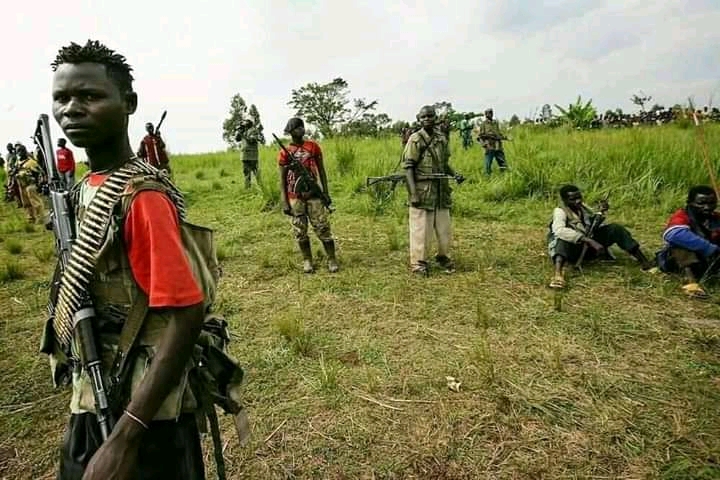 Ituri: Plus de 1000 combattants FRPI bientôt désarmés