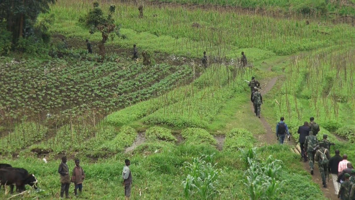 Nord-Kivu : L'armée rwandaise demeure sur le sol congolais, insiste la Société civile