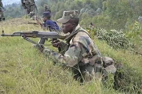 Beni: Des hommes lourdement armés appréhendés à Bashu