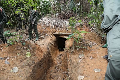 Beni: Un camp d'entraînement des présumés ADF découvert en plein parc des Virunga