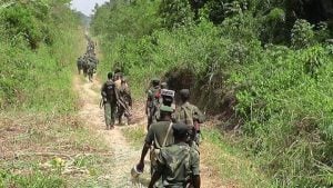 Sud-Kivu : voici le bilan des affrontements entre rebelles et l'armée congolaise à Minembwe