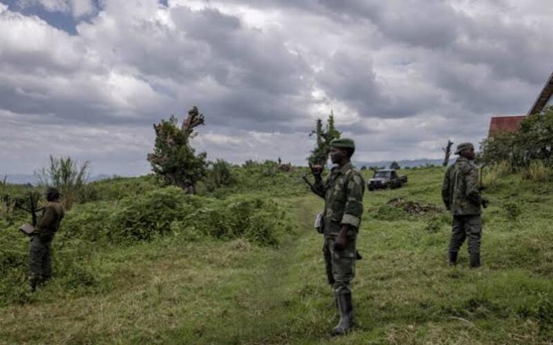 Masisi : voici ce qui justifie la progression des rebelles du M23