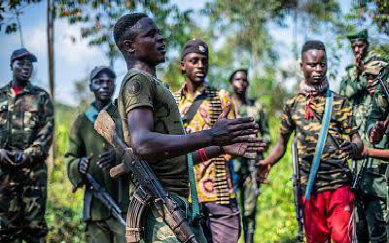 Nord-Kivu : les rebelles du M23 de niveau accusés