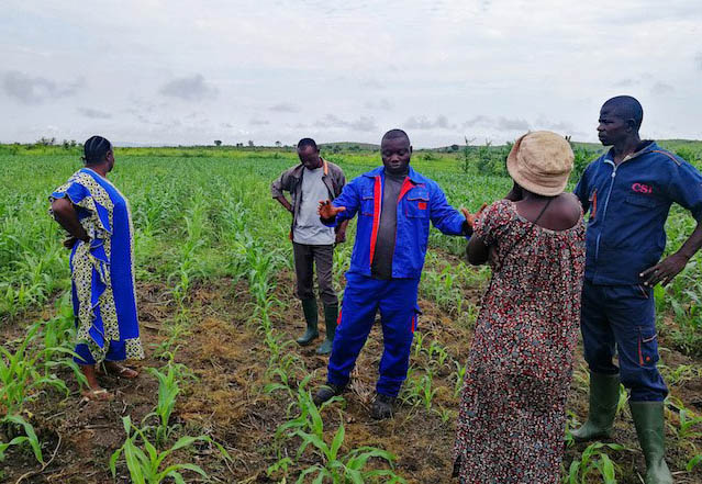 Kinshasa : des fermiers victimes de l'insécurité