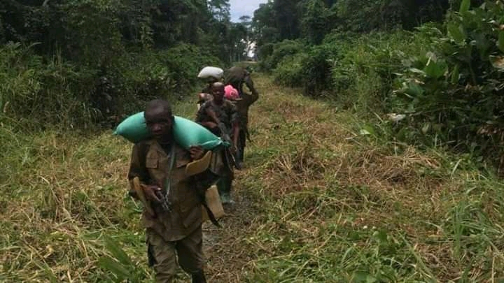 Beni : deux autres combattants ADF tués par l'armée à Kinyambahore