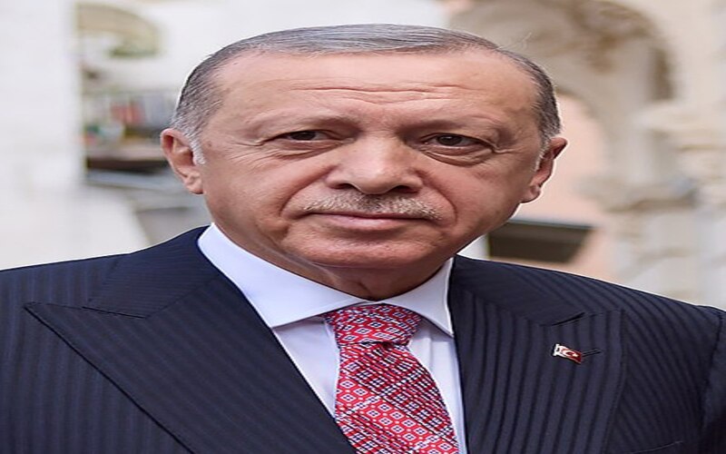 Turquie : enfin la position de Tayyip Erdogan sur l'homosexualité